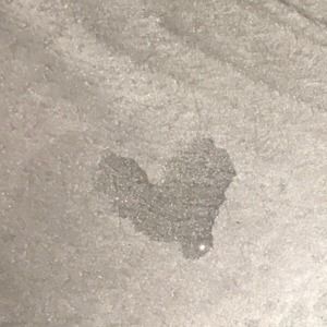 Meet your Posher, Fanny